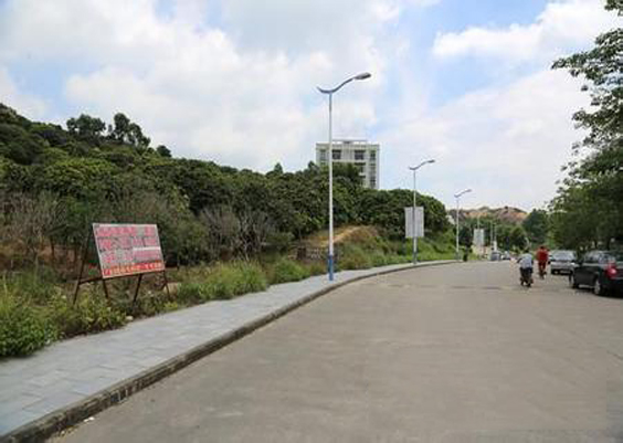 東莞大嶺山鎮(zhèn)連平村路燈安裝工程